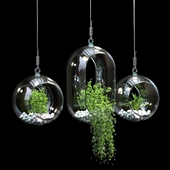 pendant_plant