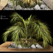 palm tree