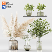 Collection Indoor Plants 01