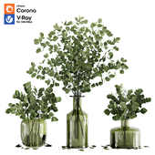 Collection Indoor Plants 02