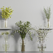 Collaction Indoor Plants 01