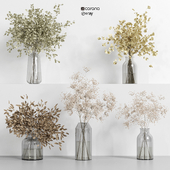 collection of indoor plants Vol03