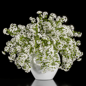Collaction Indoor Plants 02