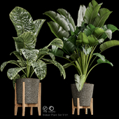 Indoor plant set-v01