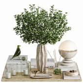 Decorative set 17