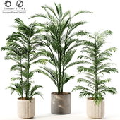 Indoor Plant Set 01