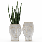 Vase Pot Decor