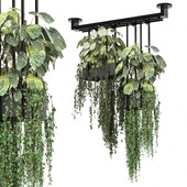 indoor hanging plants in metal box_ Set 1075