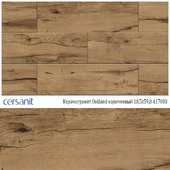 Porcelain tile Cersanit Oakland brown 18.5x59.8 A17080