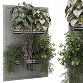 indoor plants in metal shelf _ Set hanging 1132