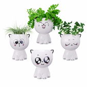 Pots Kittens