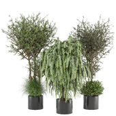 indoor Plants Collection - Set 1320