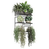 indoor hanging plants in metal shelf_ Set 1340