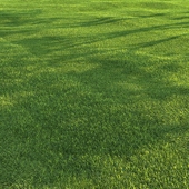 Moved lawn02