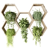 Ampelous plants in hexagons on the wall