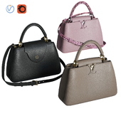 Set of bags 11. Louis Vuitton. Capucines