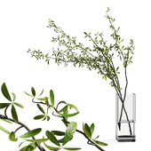 Bouquet of branches in a glass vase