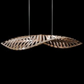 Navicula light modern