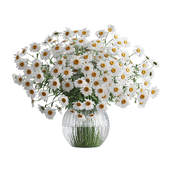 Bouquet of daisies in a glass vase