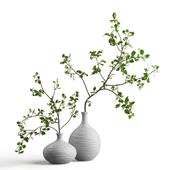 Branches in ceramic vases