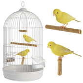 Canaries in a cage