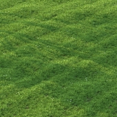 mowed lawn03