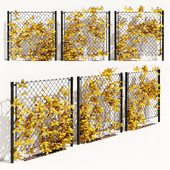 ivy on fence one