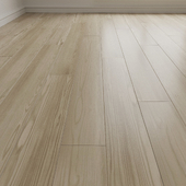 Laminate. Parquet. Board 11