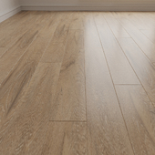 Laminate. Parquet. Board 23