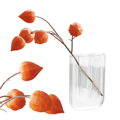 Bouquet 07 - Physalis branch in a glass vase