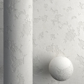 Plaster with Damages