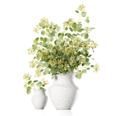 Plants Bouquet 011