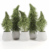 Christmas trees set