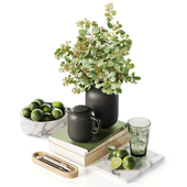 Decorative Set 062