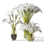 Bouquet of calla lilies in a glass vase