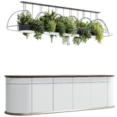 Coffee shop reception Restaurant counter by hanging plant - 13