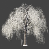 Willow snow