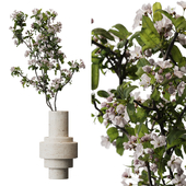 Blooming apple tree branches in a vase