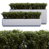 Flowerpot 01