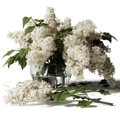 Bouquet of lilacs in a glass vase