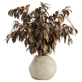 Indoor Plant Set 101