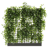 Outdoor Plant Set 029