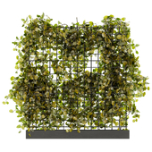 Outdoor Plant Set 030