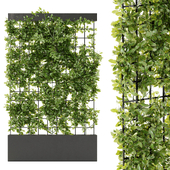 Outdoor Plant Set 031