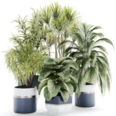 IndoorPlantSet24