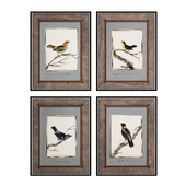 Bird Cantina Set 68