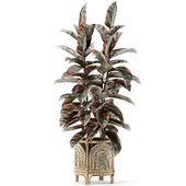 indoor plant 03