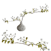 Flowering branch in a vase 06
