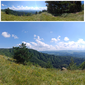 Summer panorama with a view of the forest and green meadows