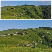 Panoramic view of green hills and forest